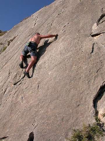Bob Hassall