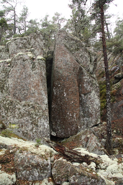 Breakfast of champions