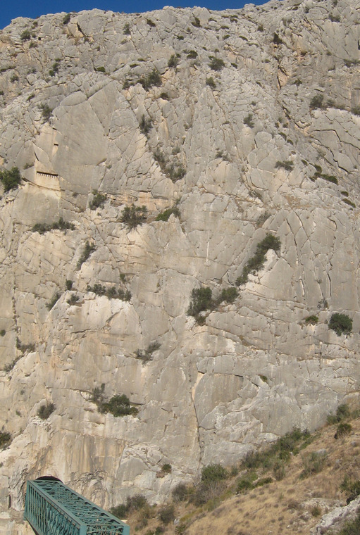 Pasarela de los Venenos