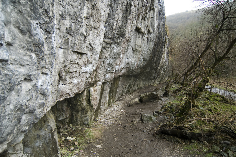 Raven Tor