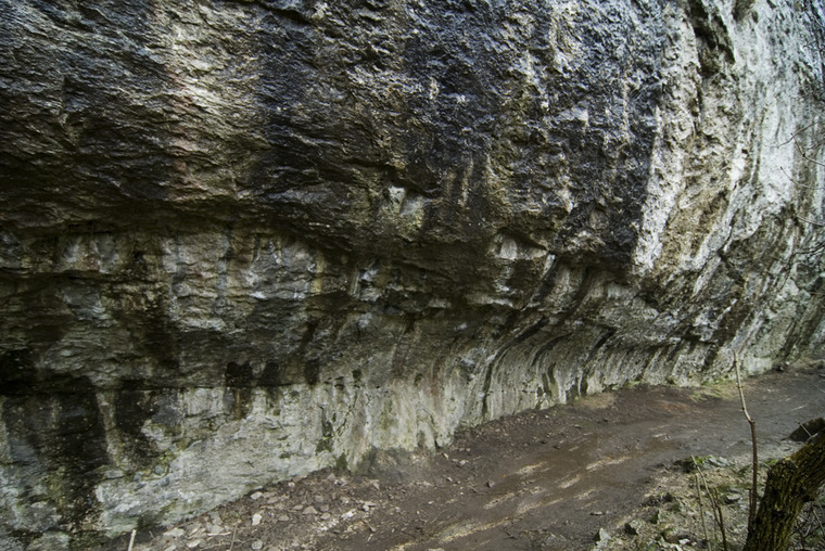 Raven Tor