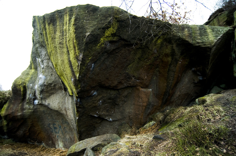 Blockbuster (Zoo York)