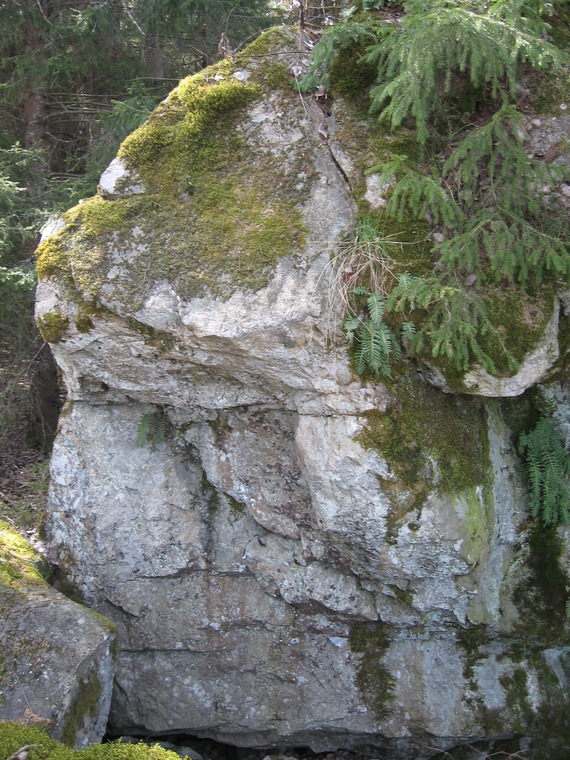 World's Strongest Man