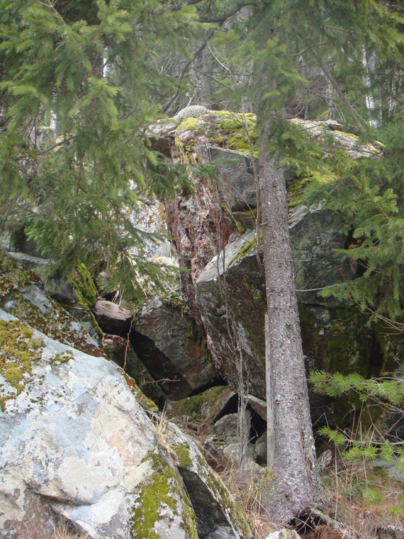 finnskogen1