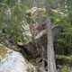 Grytväggen thumbnail