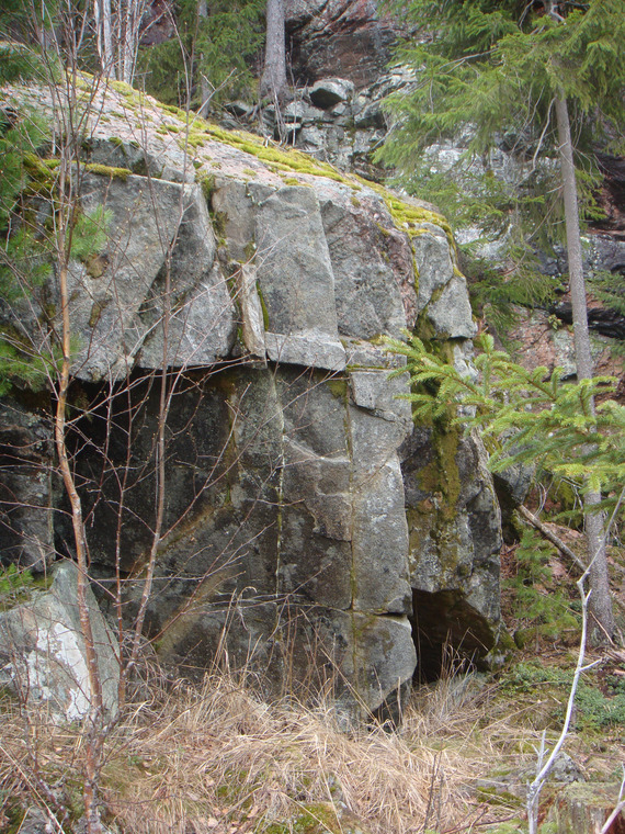finnskogen1