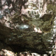 Metall thumbnail