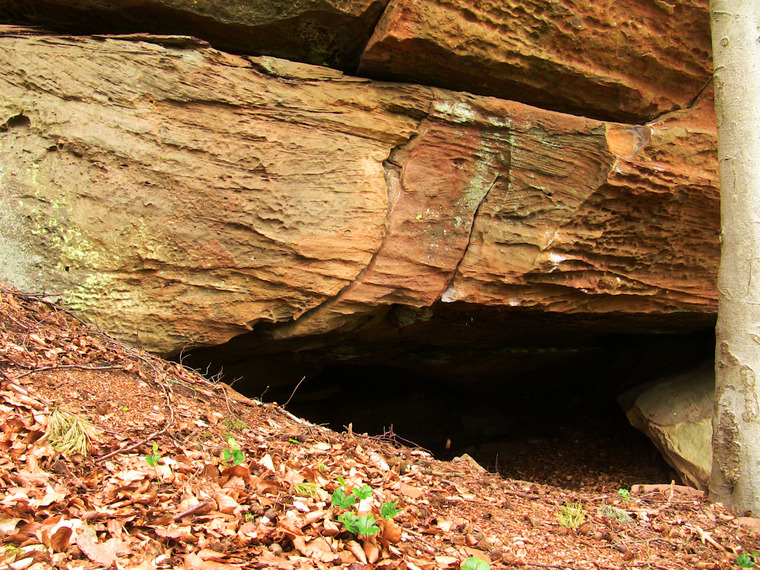 Das Gedächtnis des Wassers