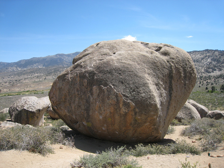 Mandala & Smooth Shrimp