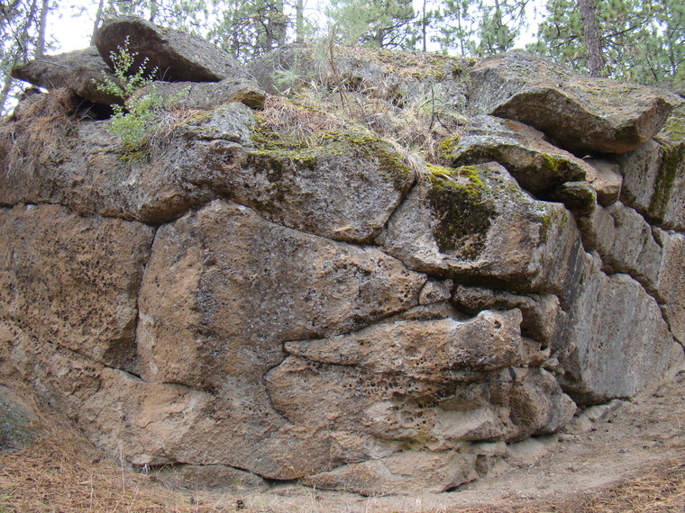 My Technicolor Dream