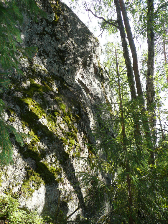 Left side
