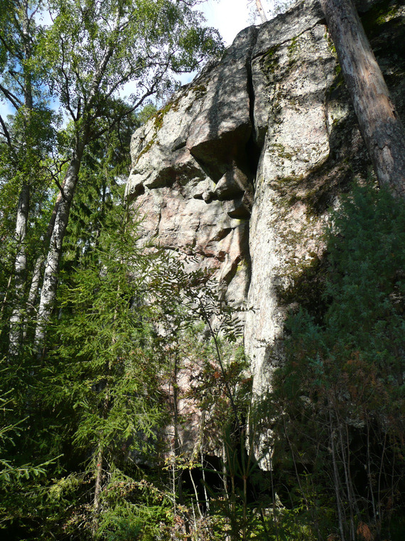 Left side