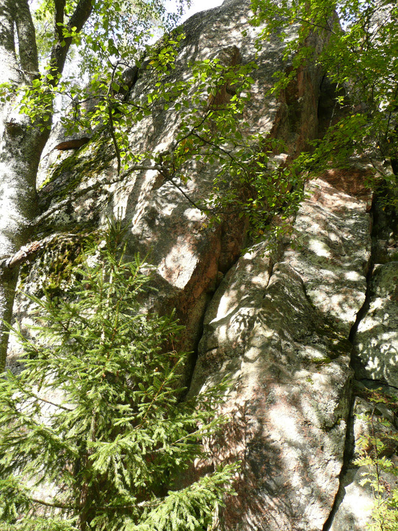 Left side