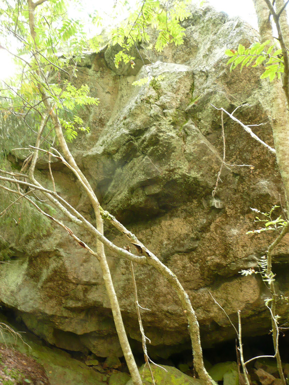 Left side