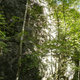 Taksisuhari thumbnail