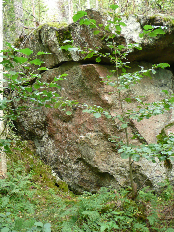 Road side