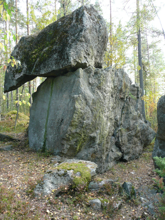 Sector Pää