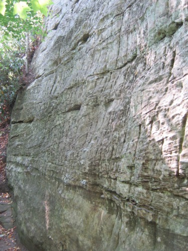 Animal Crackers Wall