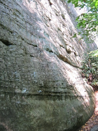 Animal Crackers Wall