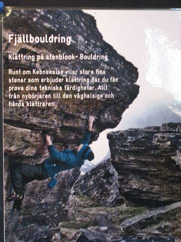 Juha-Matti Halonen