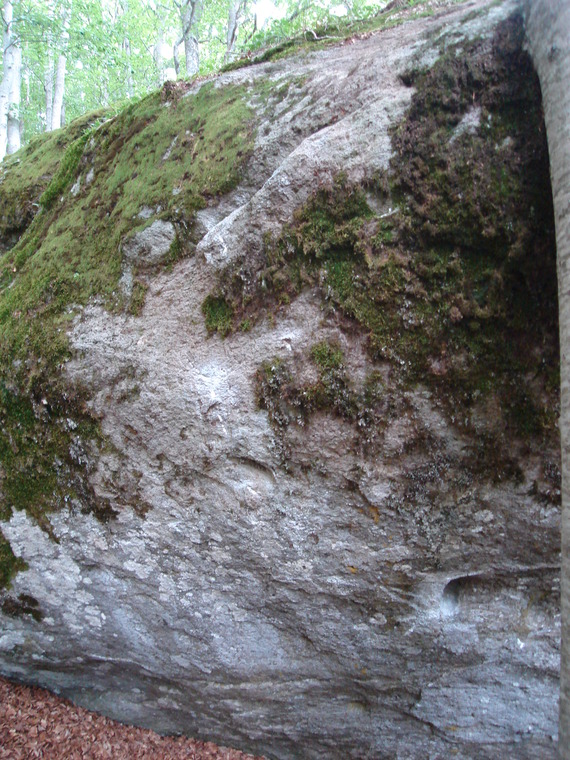 Sector B_Africa Block