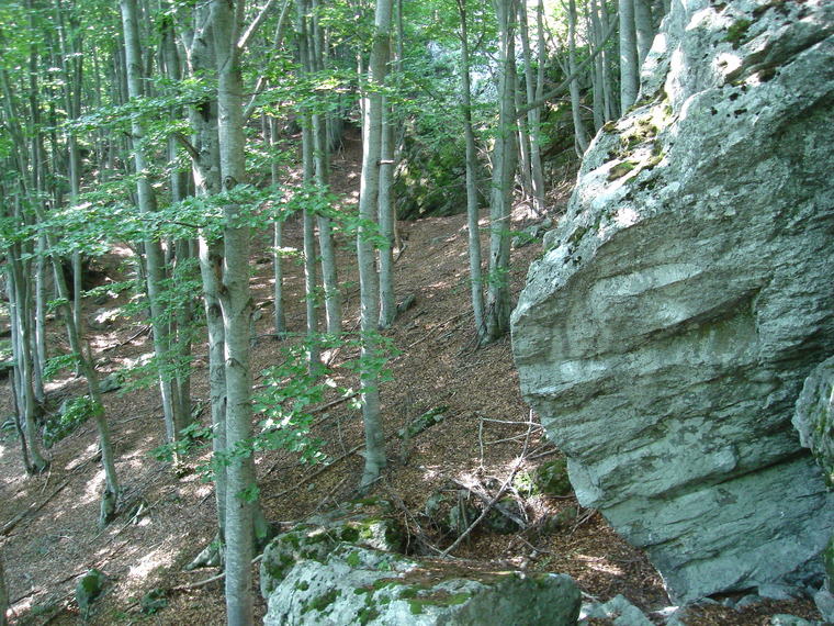 Sector B_Tsitman Block