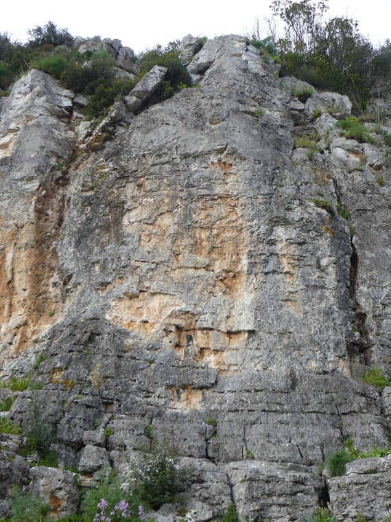 Os Senhores Dos Poios - Right (Jardim Zoologico)
