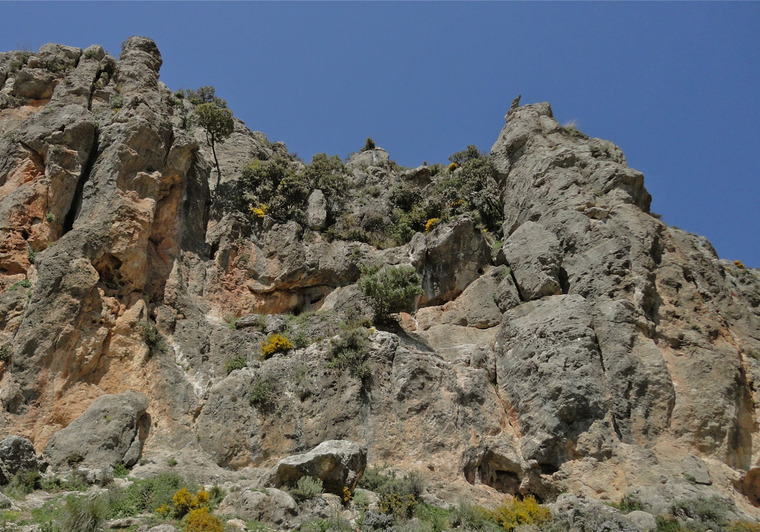 El Nicho, Abominables y Mellizos