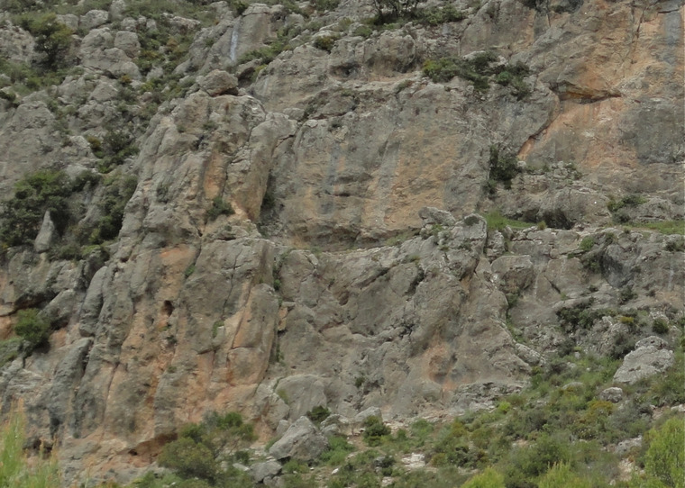 El Nicho, Abominables y Mellizos