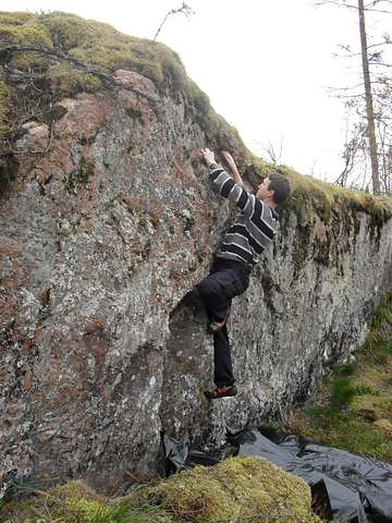 Heikki Pitkänen