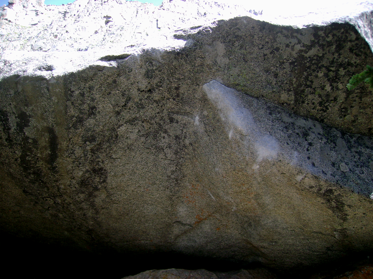 Gorillas in the Mist