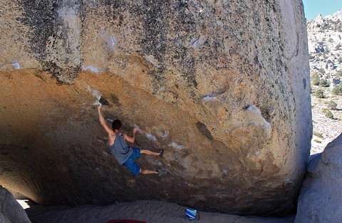 Alex Biale