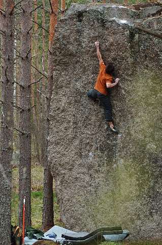 Anssi Venho