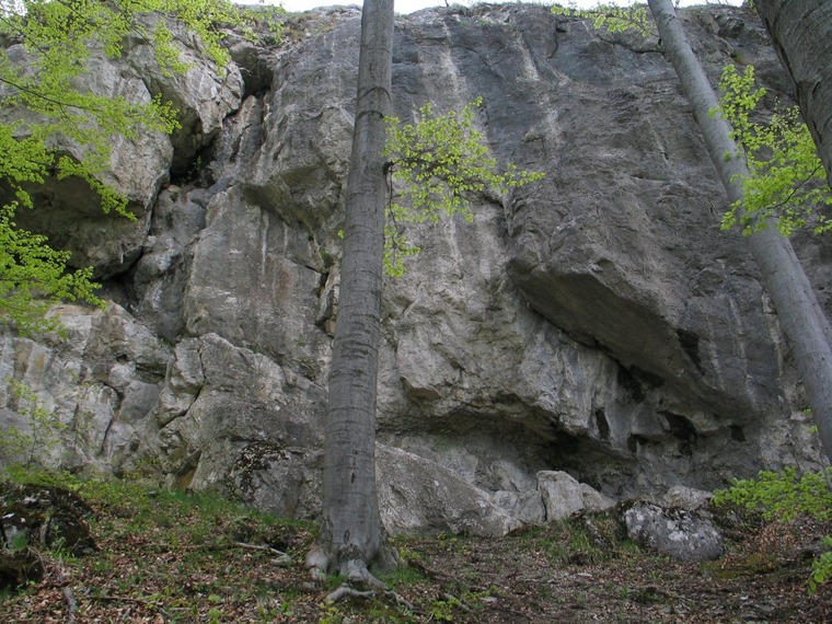 West wall (Platňa)