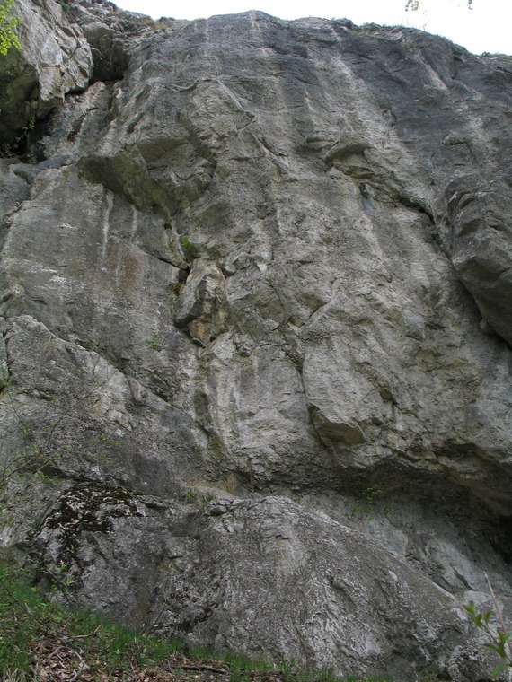 West wall (Platňa)