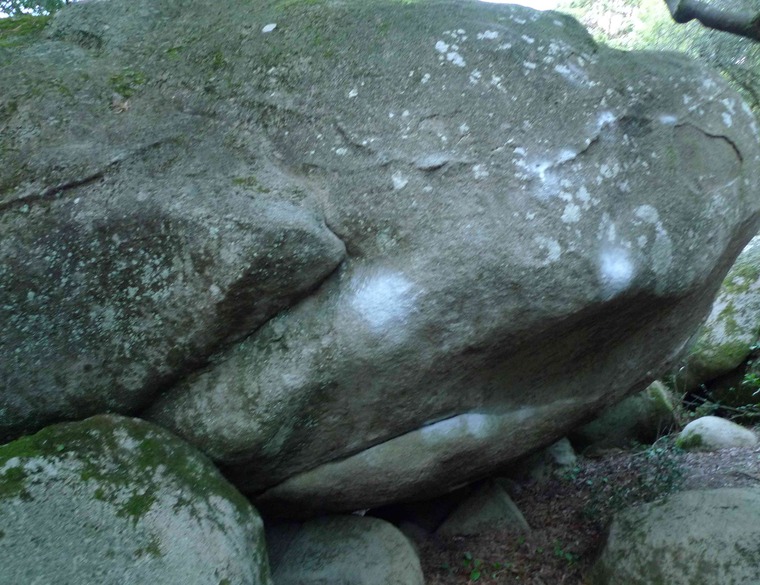 Peninha Nova - Massa Expansiva