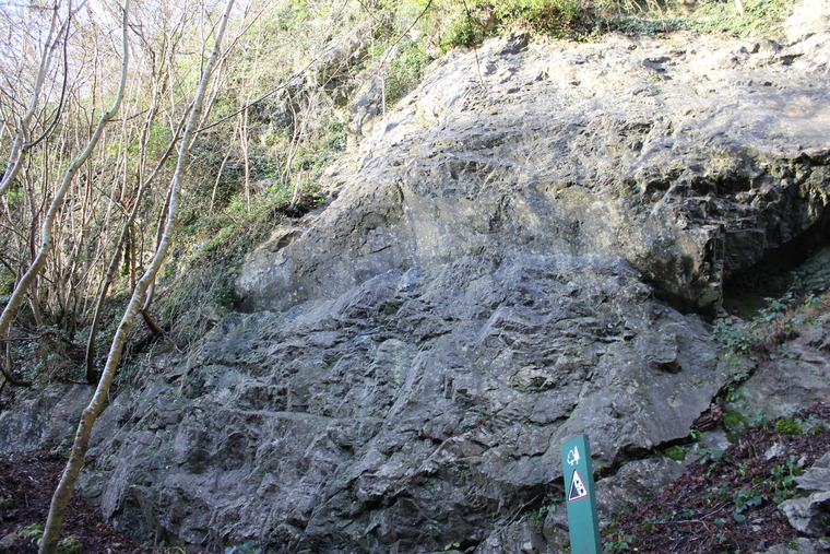 The Love of Ivy Area