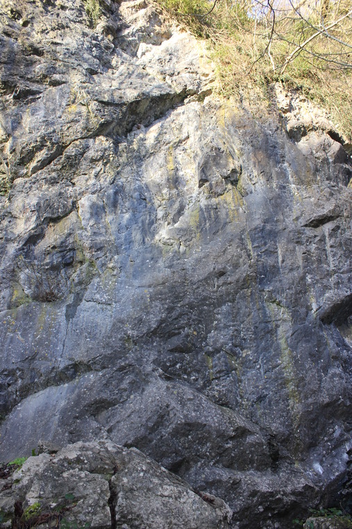 The Love of Ivy Area