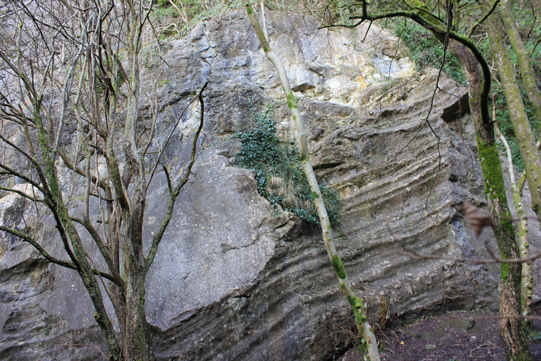 The Inflated Round Head Area