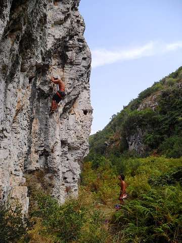 Diogo Tomé