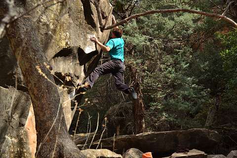 Noah Rayburn