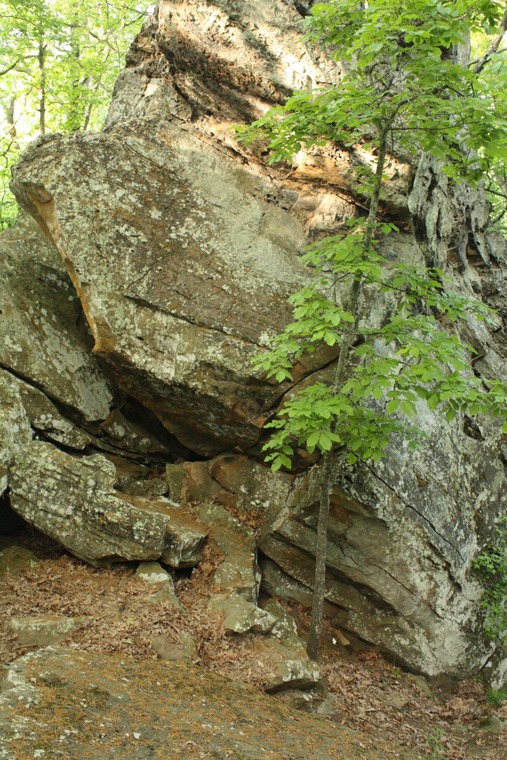 Hillside Boulder