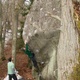 Hidden gem Stockholm boulders in the 7s