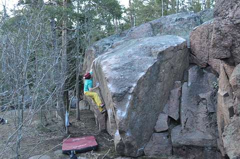 Tuomas Heikkonen