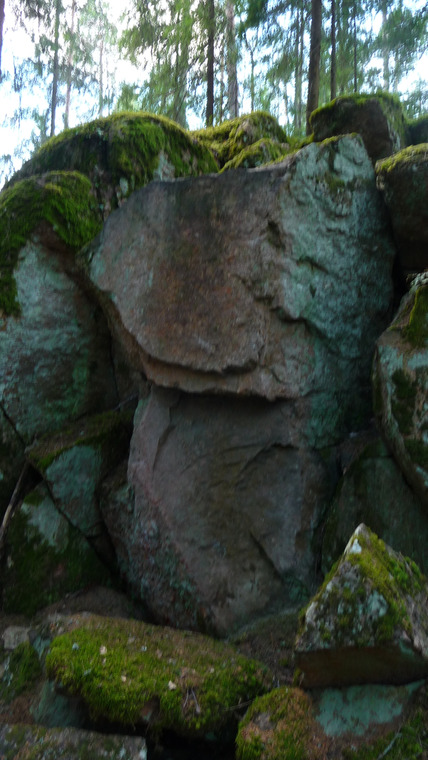 Kasakka