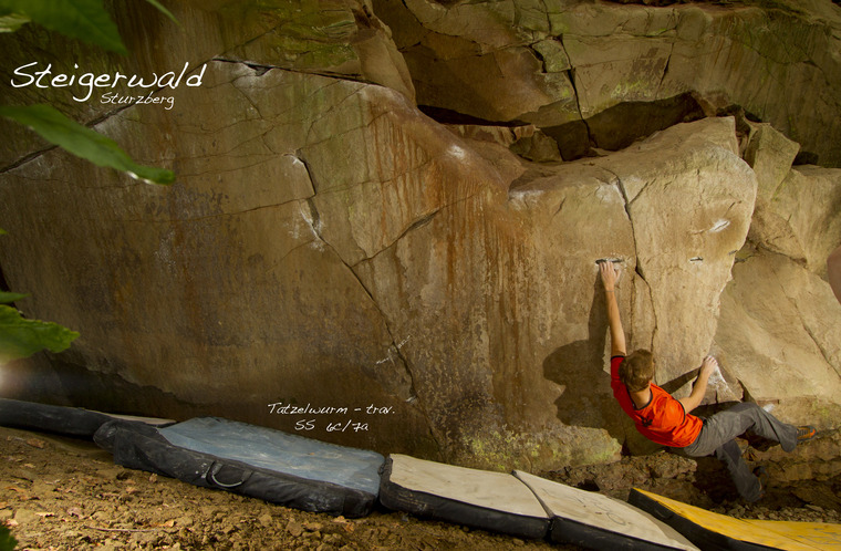 Im Land der fallenden Bäume