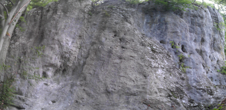 Tajov - Hlavny sektor