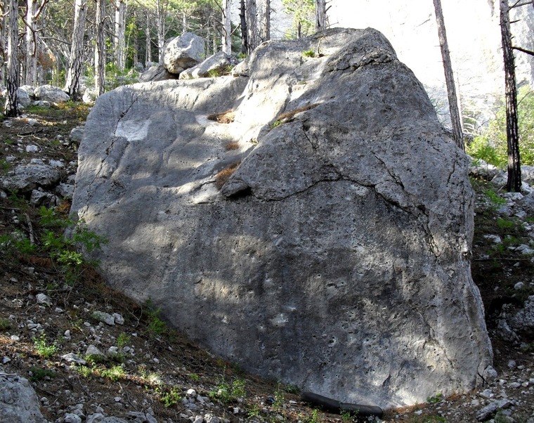 Double Cheese Burger