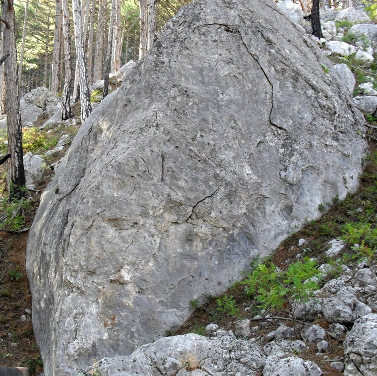 Double Cheese Burger