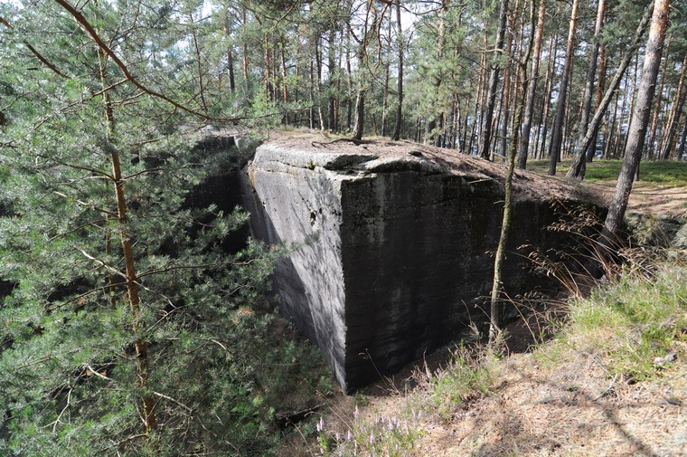 Masiv u Bábovky - sektor C